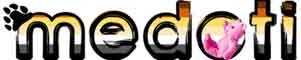 Medoti